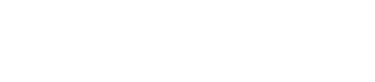 CasterFly